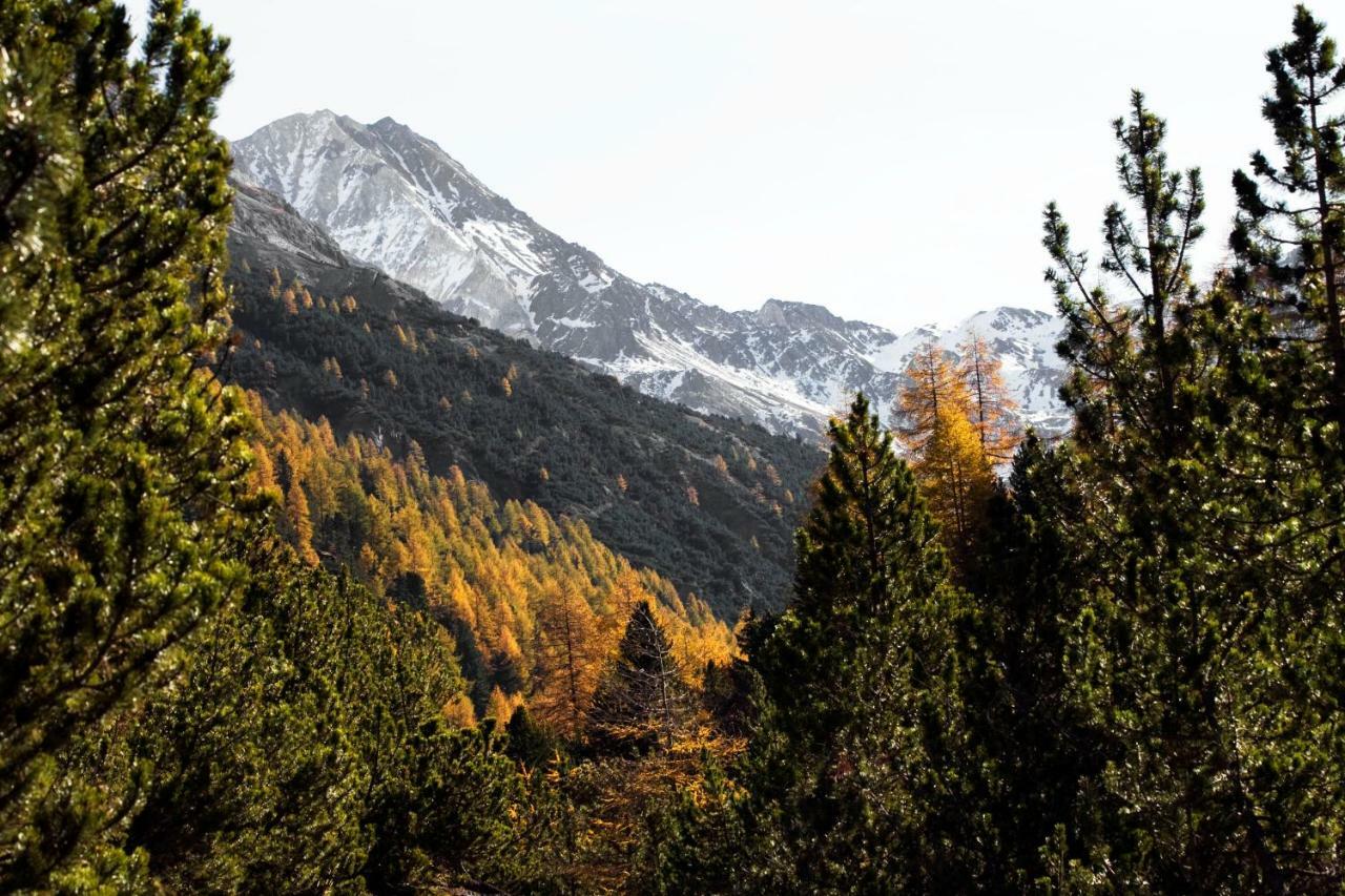 Hotel Bed & Rooms , Corte Rossa -1 Min Walk To Bernina Express Tirano Exterior photo
